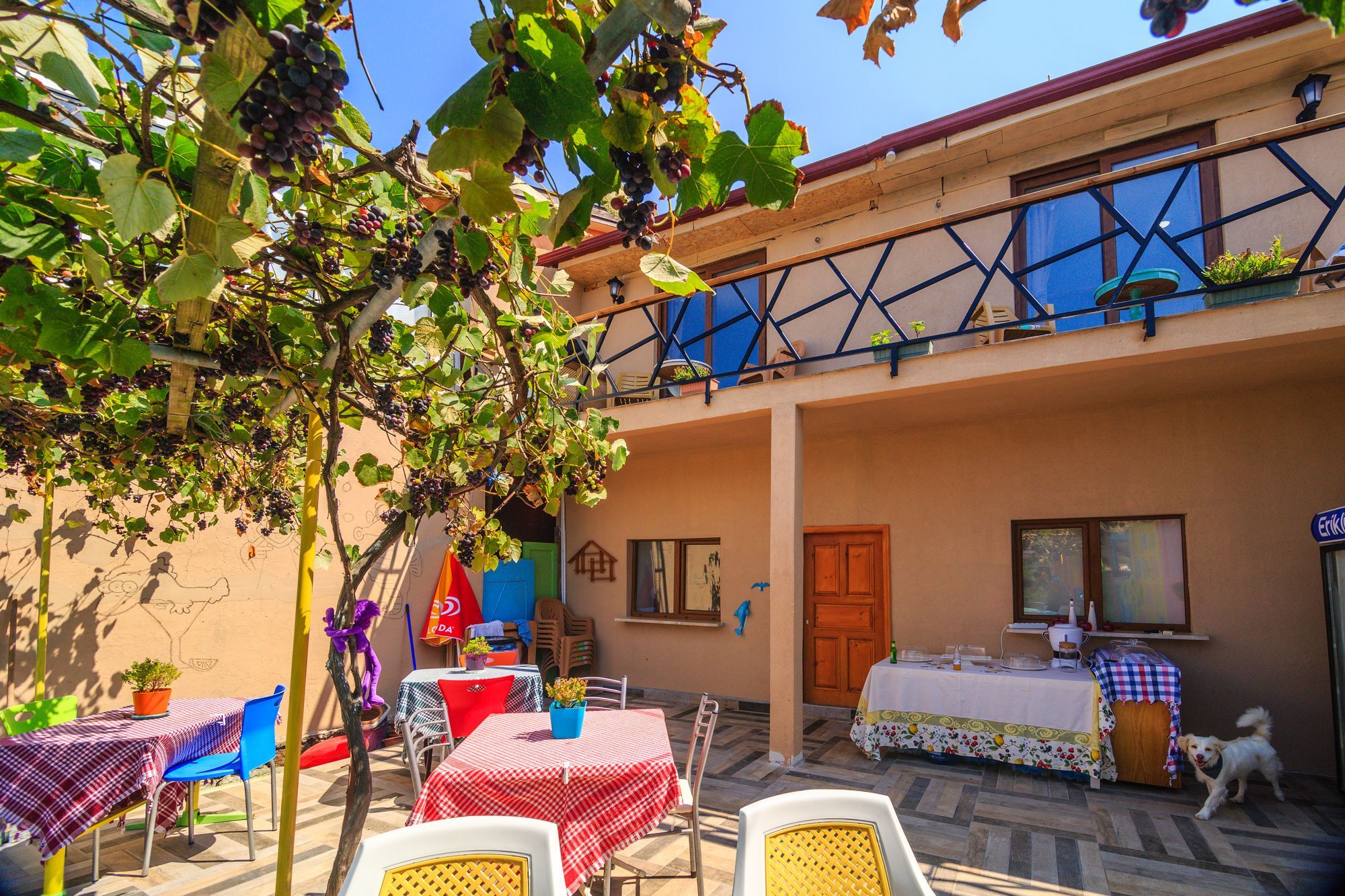 Frau Guler Boutique Hotel Amasra Luaran gambar